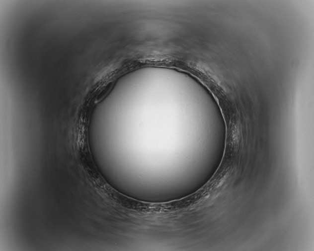 X0000095891350200801181217