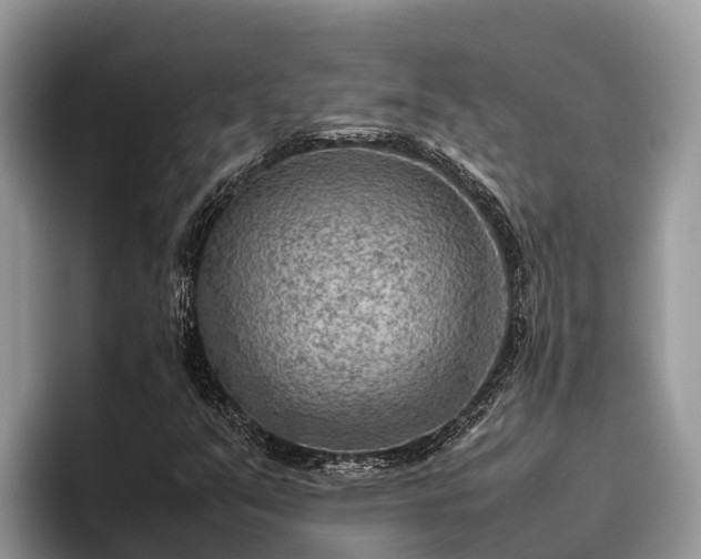 X0000095891351200801181217