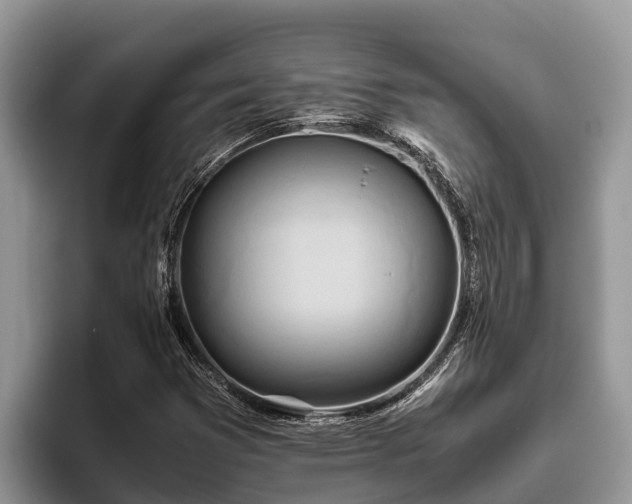 X0000095891353200801181217