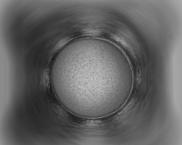 X0000095891354200801181217