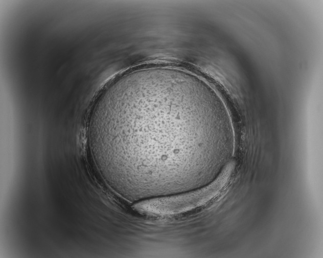 X0000095891355200801181217