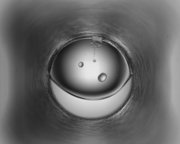 X0000095891357200801181217