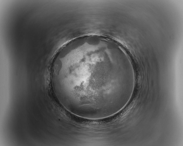 X0000095891359200801181217