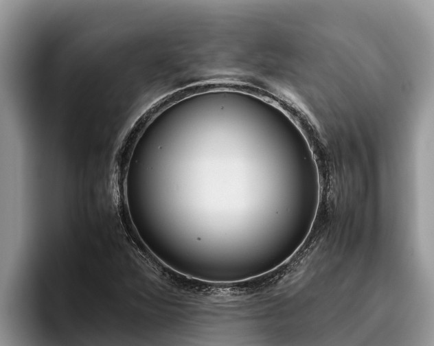 X0000095891360200801181217