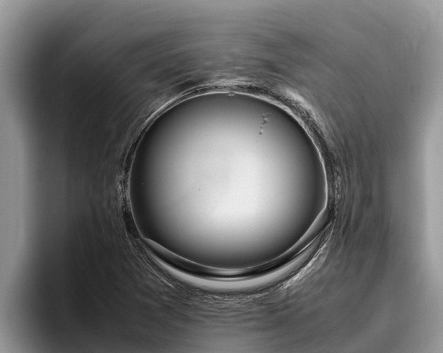 X0000095891361200801181217