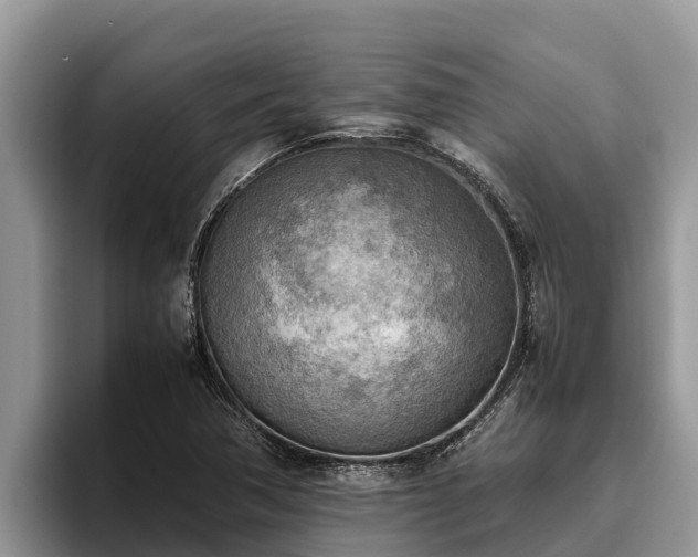 X0000095891362200801181217