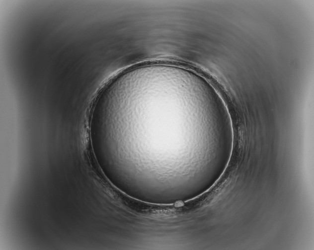 X0000095891363200801181217