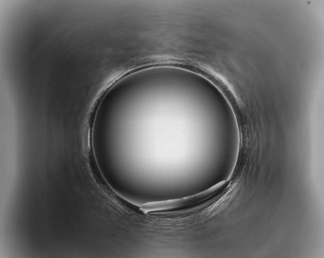 X0000095891365200801181217