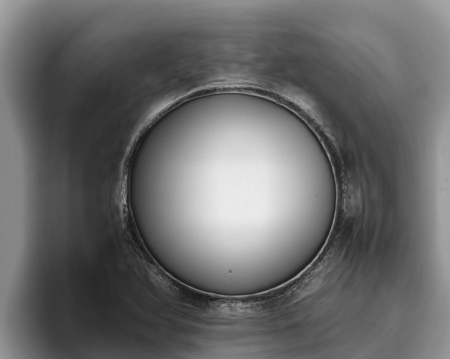 X0000095891366200801181217