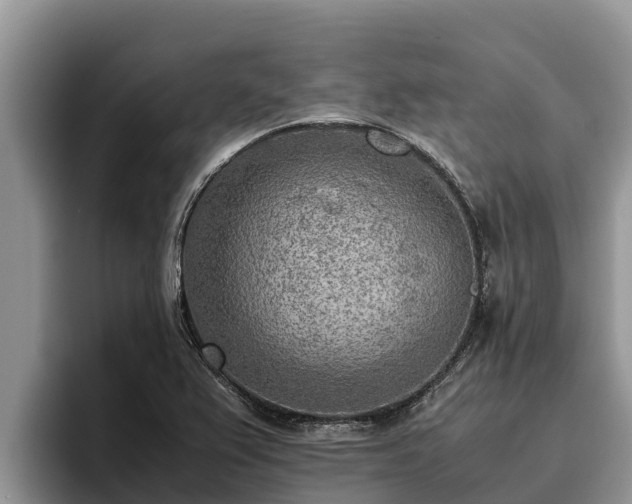 X0000095891367200801181217