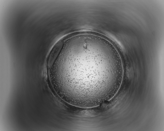 X0000095891368200801181217