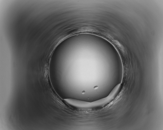 X0000095891369200801181217