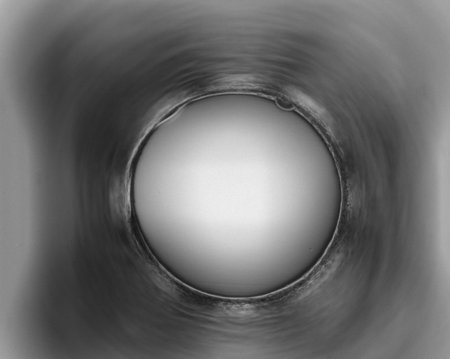 X0000095891370200801181217