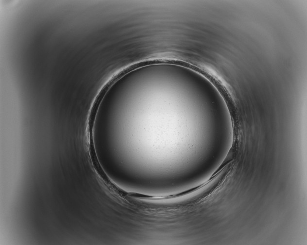 X0000095891372200801181217