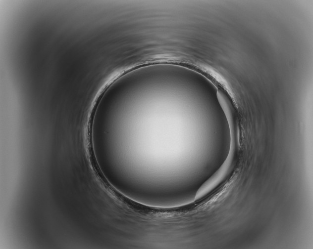 X0000095891373200801181217
