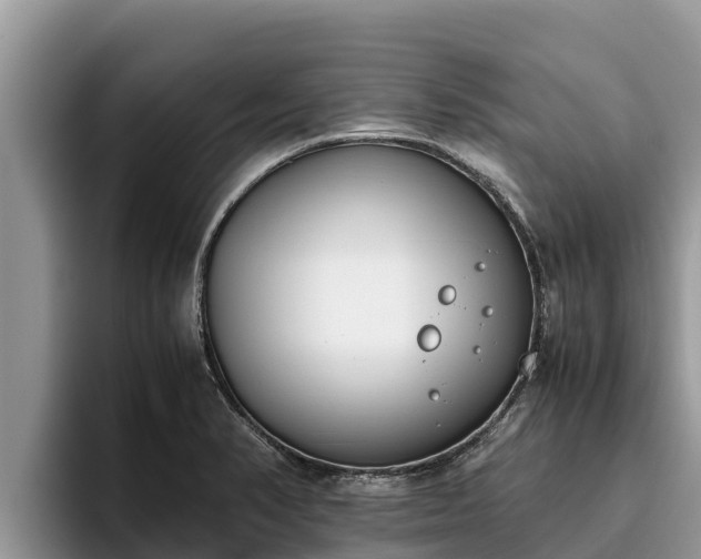 X0000095891374200801181217