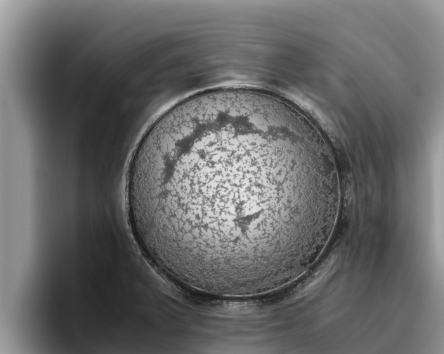 X0000095891375200801181217