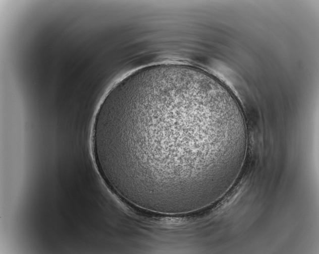 X0000095891379200801181217