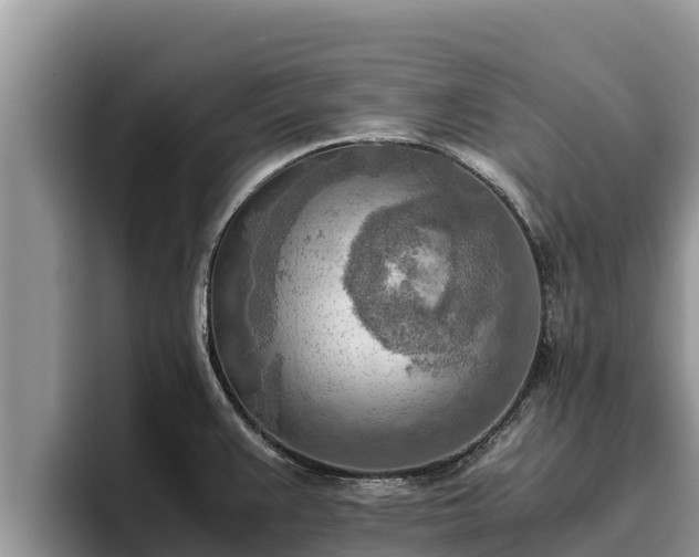 X0000095891383200801181217