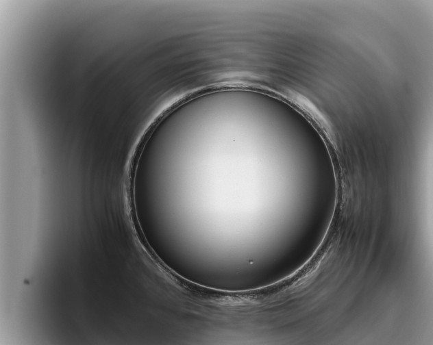 X0000095891384200801181217