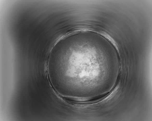 X0000095891385200801181217