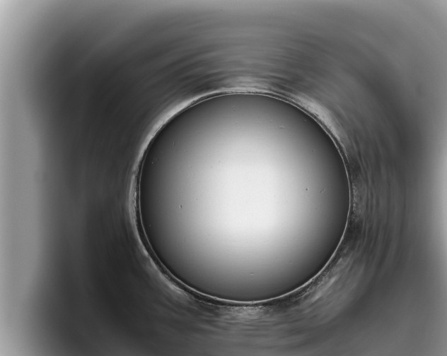 X0000095891387200801181217