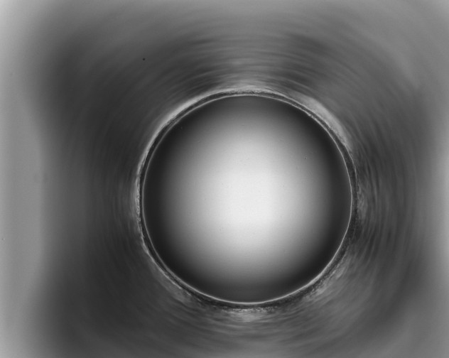 X0000095891388200801181217