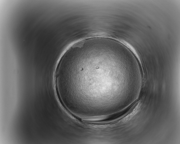 X0000095891389200801181217