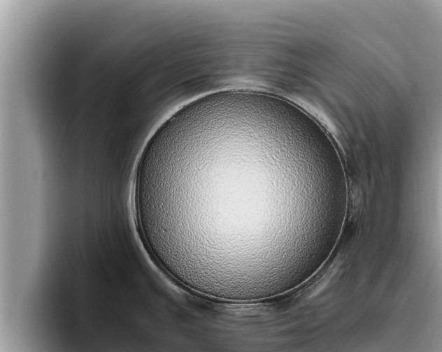 X0000095891391200801181217