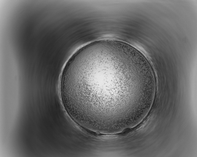 X0000095891392200801181217