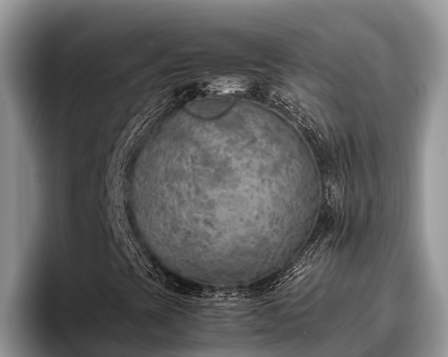 X0000095891393200801181216