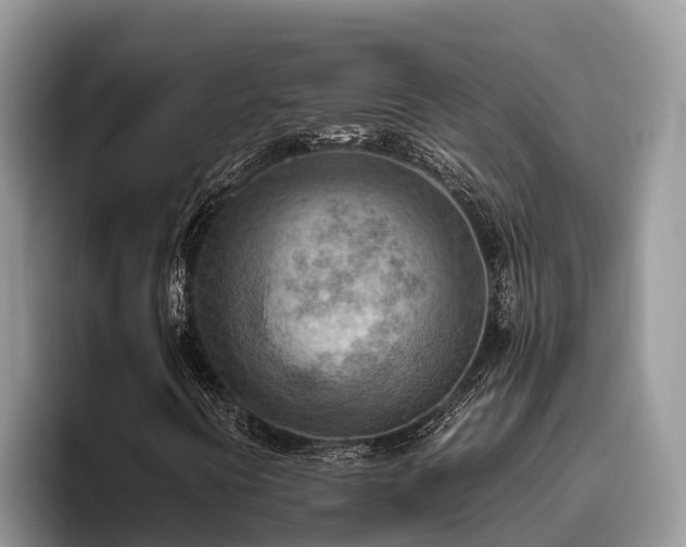 X0000095891394200801181216