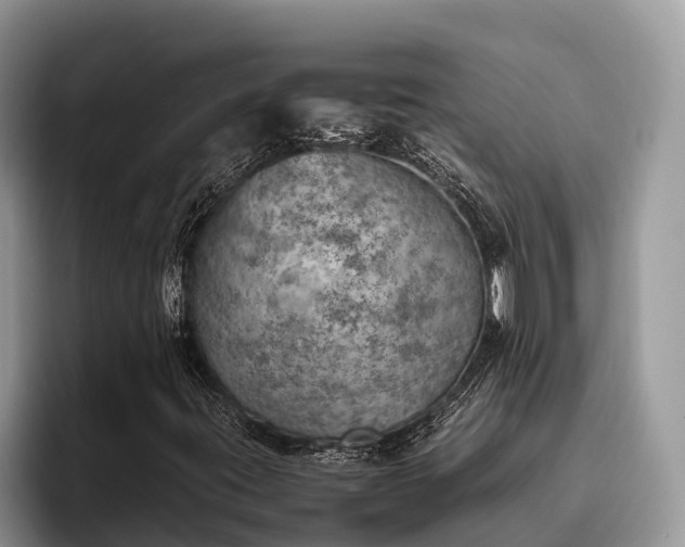 X0000095891395200801181216