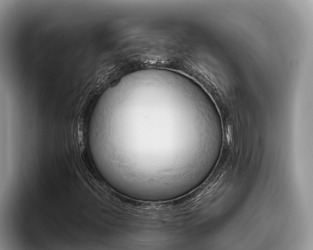X0000095891396200801181216