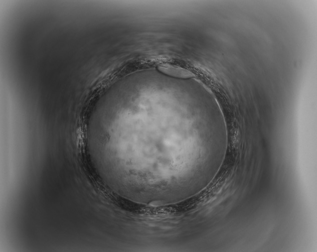 X0000095891397200801181216