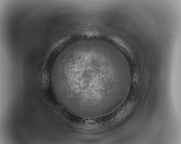 X0000095891398200801181216