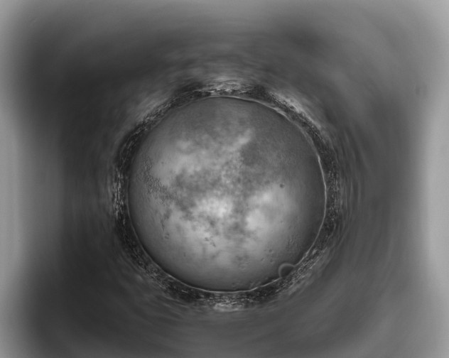 X0000095891399200801181216