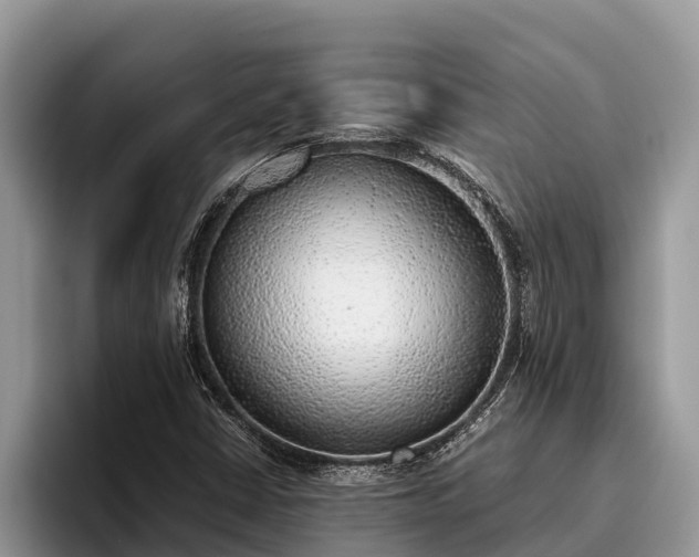 X0000095891402200801181216