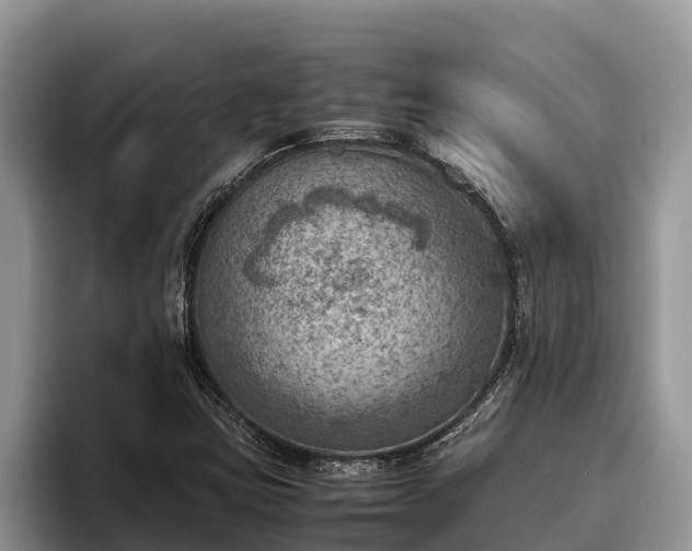 X0000095891403200801181216