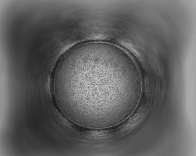 X0000095891404200801181216