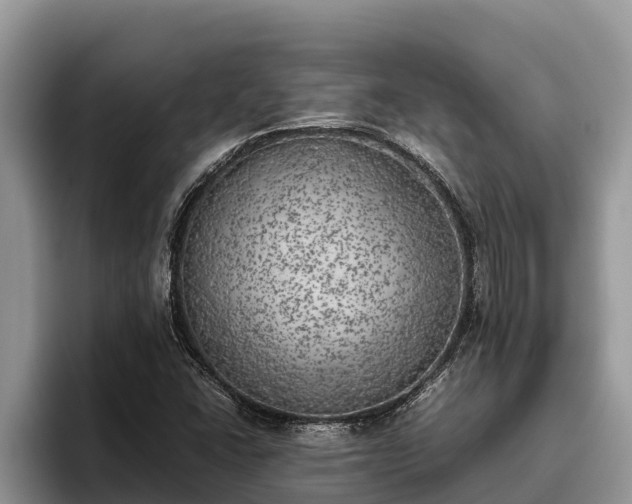 X0000095891406200801181216