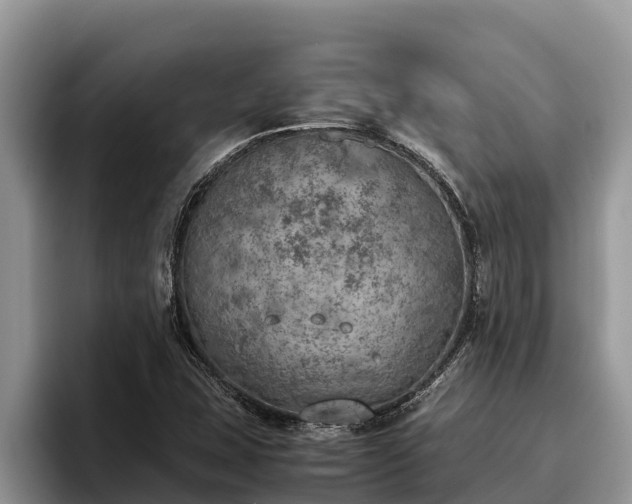 X0000095891407200801181216