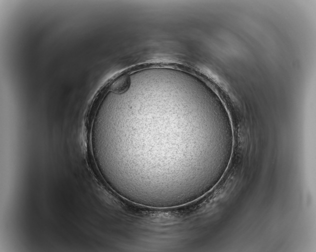 X0000095891408200801181216