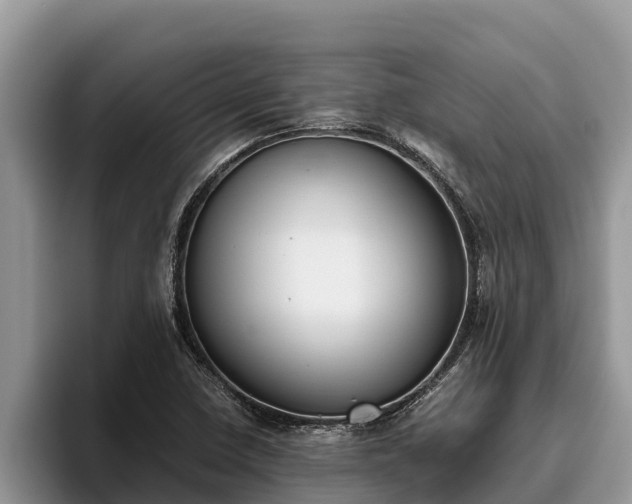 X0000095891410200801181216
