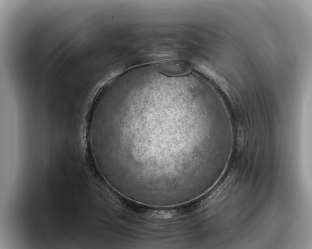 X0000095891411200801181216