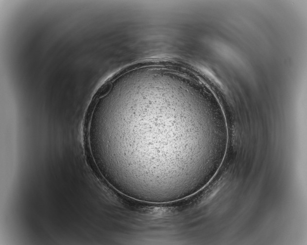 X0000095891412200801181216