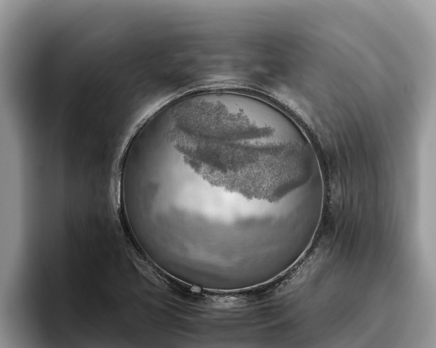 X0000095891413200801181216