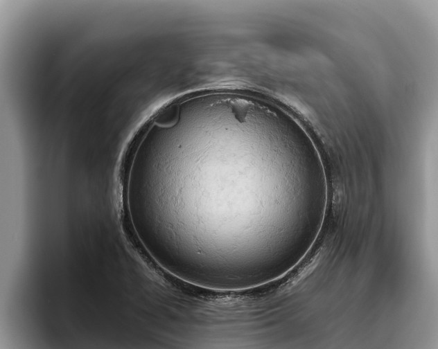 X0000095891414200801181216