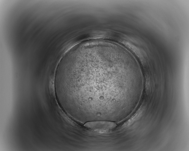 X0000095891417200801181216