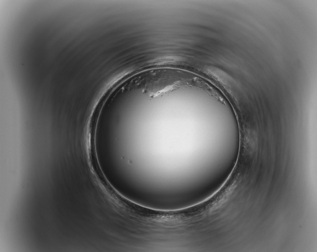X0000095891418200801181216